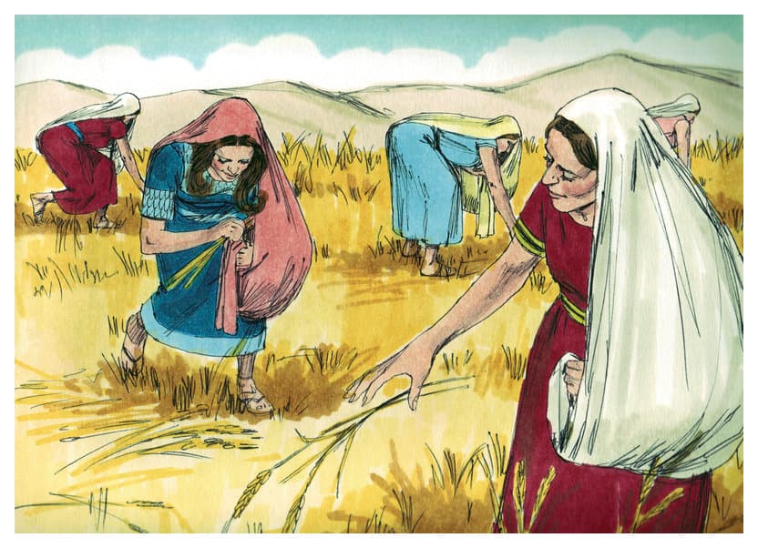 chapter-image
