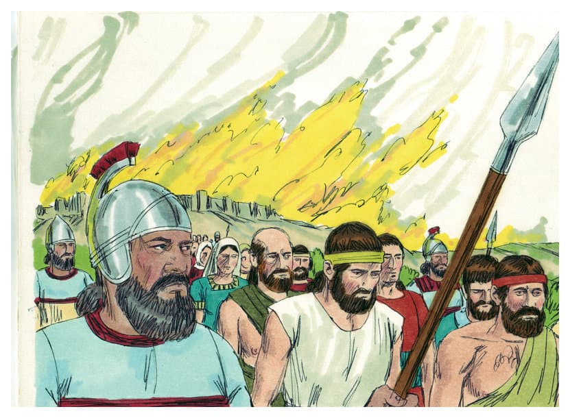 chapter-image