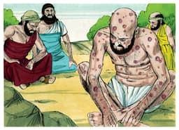 easy bible