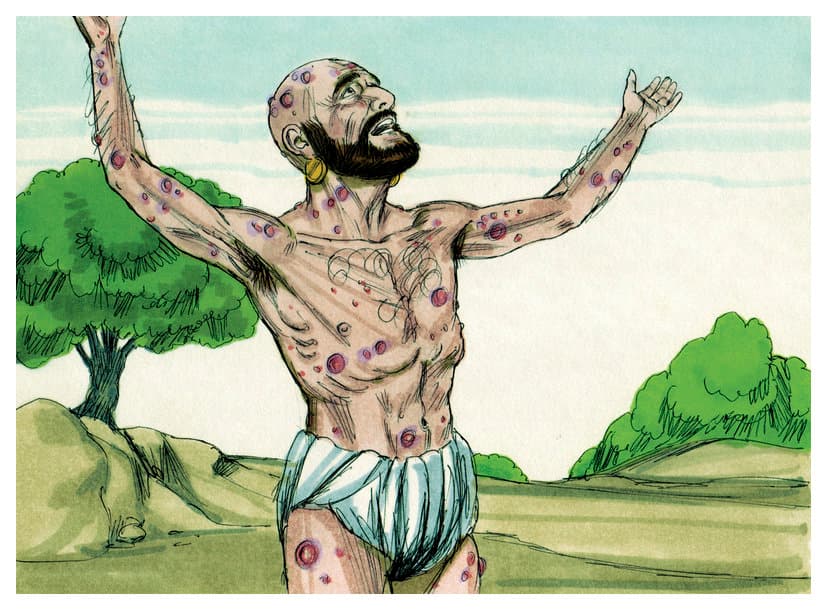 chapter-image