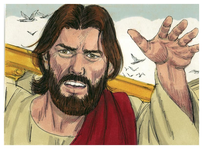 chapter-image