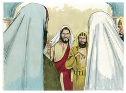 easy bible