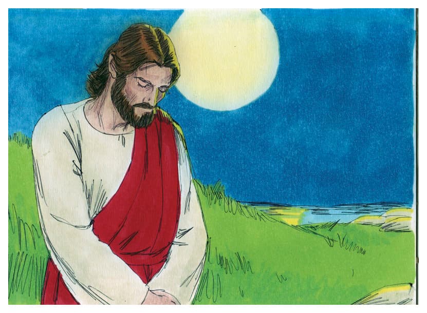 chapter-image