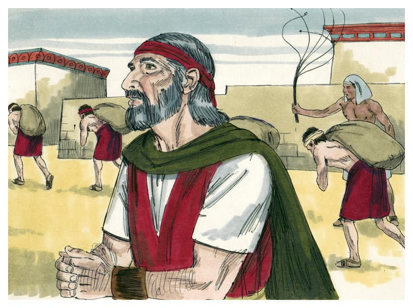 chapter-image
