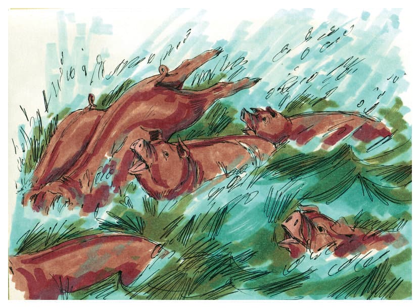 chapter-image